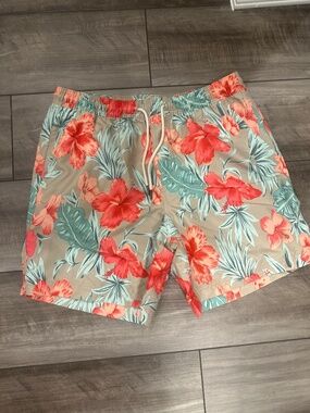 American eagle bathing suit shorts